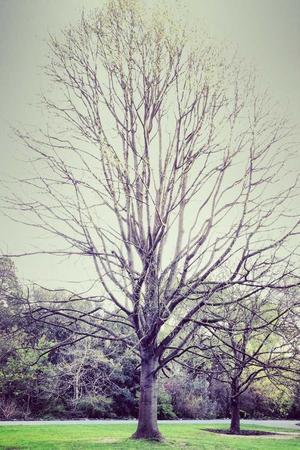 Aliquid rerum voluptatem sit.