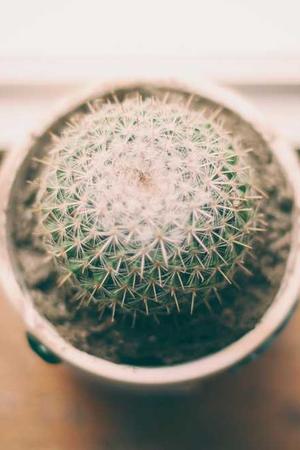 Et aut necessitatibus.